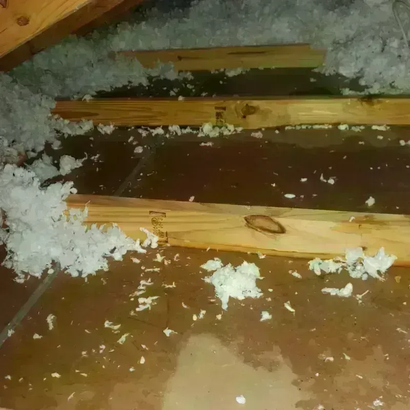 Attic Water Damage in Capac, MI