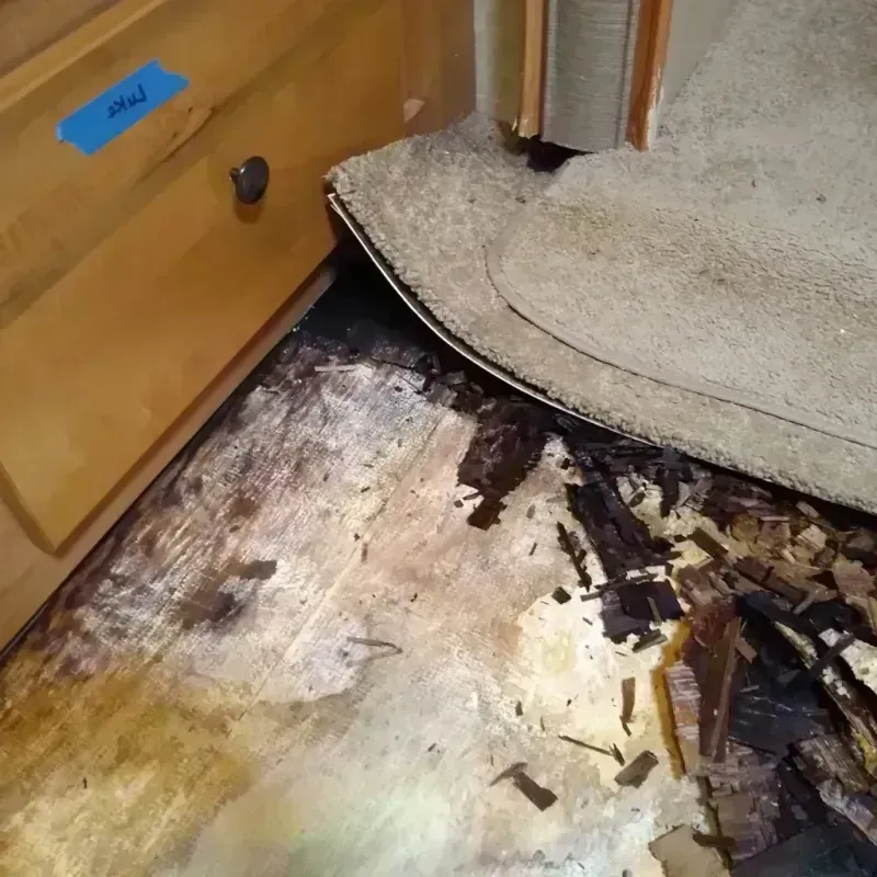 Wood Floor Water Damage in Capac, MI